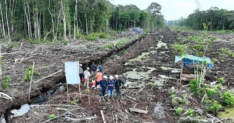 Penyegelan lokasi indikasi aktivitas ilegal (SinPo.id/ Dok. Kemenhut)