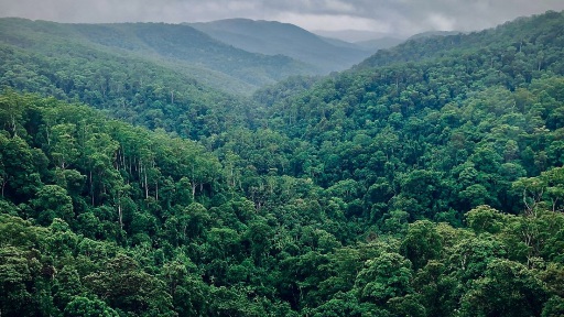 Ilustrasi Hujan (SinPo.id/Desa Demit/Ketapang)