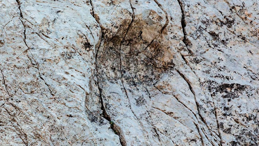 Ahli paleontologi Italia menemukan ribuan jejak kaki dinosaurus di tebing batu yang tingginya lebih dari 2.000 meter di atas permukaan laut di Taman Nasional Stelvio. (SinPo.id/AP)