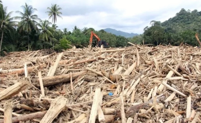Petugas sedang membersihkan gelondongan kayu pascabanjir di Tapanuli Selatan. (SinPo.id/Antara)