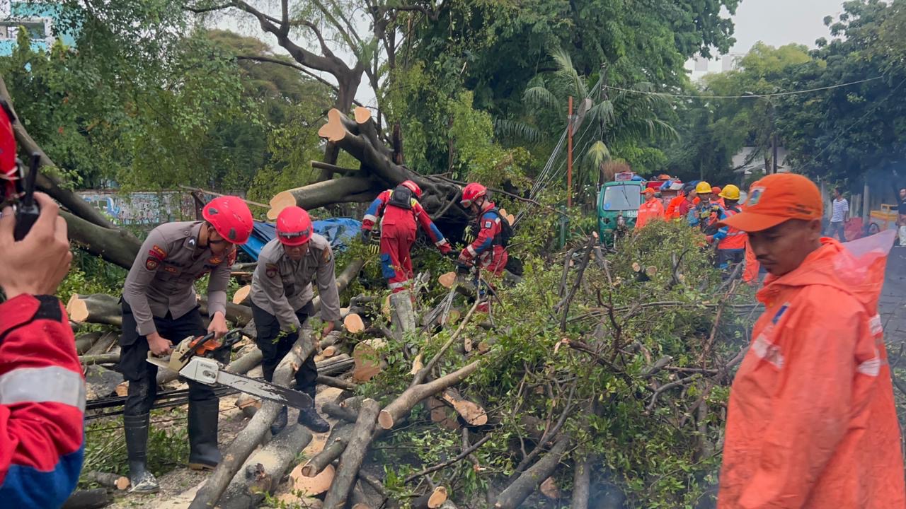 Polisi menangani pohon tumbang di Jakpus (SinPo.id/Dok. PMJ)