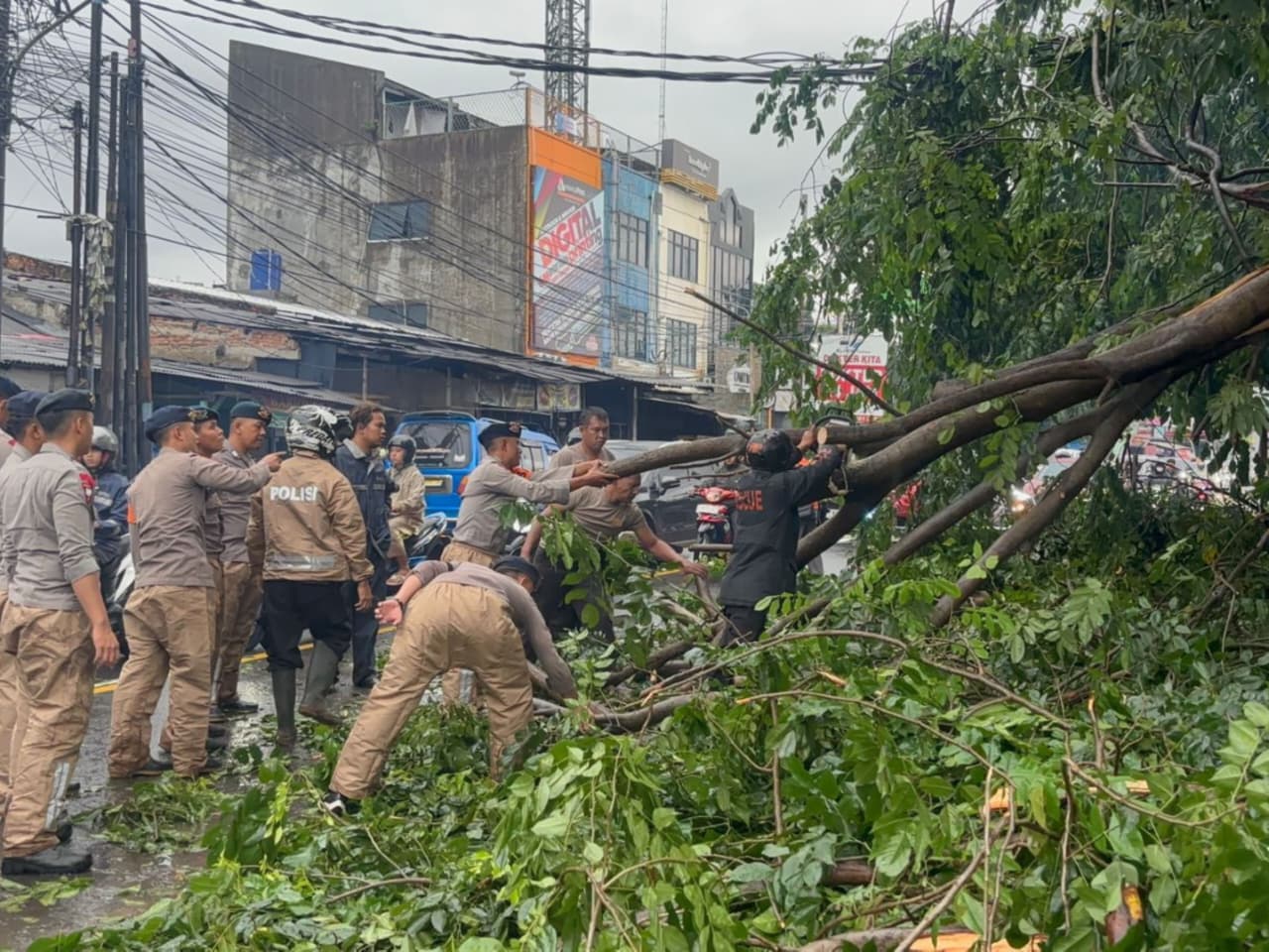 Anggota Brimob Polda Metro Jaya menangani pohon tumbang (SinPo.id/Dok.PMJ)