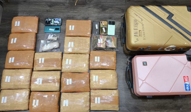 Barang bukti ganja yang disita di Kemayoran (SinPo.id/Dok.PMJ)