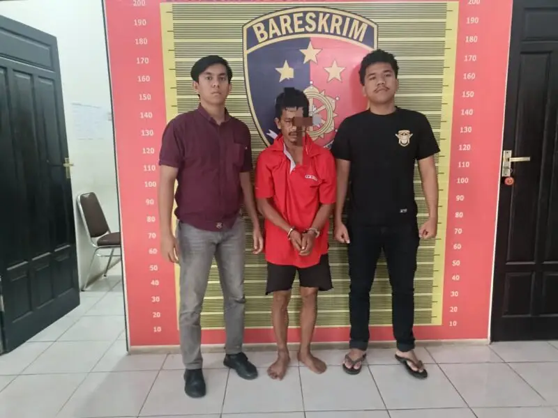 Polres Padang Lawas tangkap pelaku pemerkosaan anak (SinPo.id/ Humas Polri)