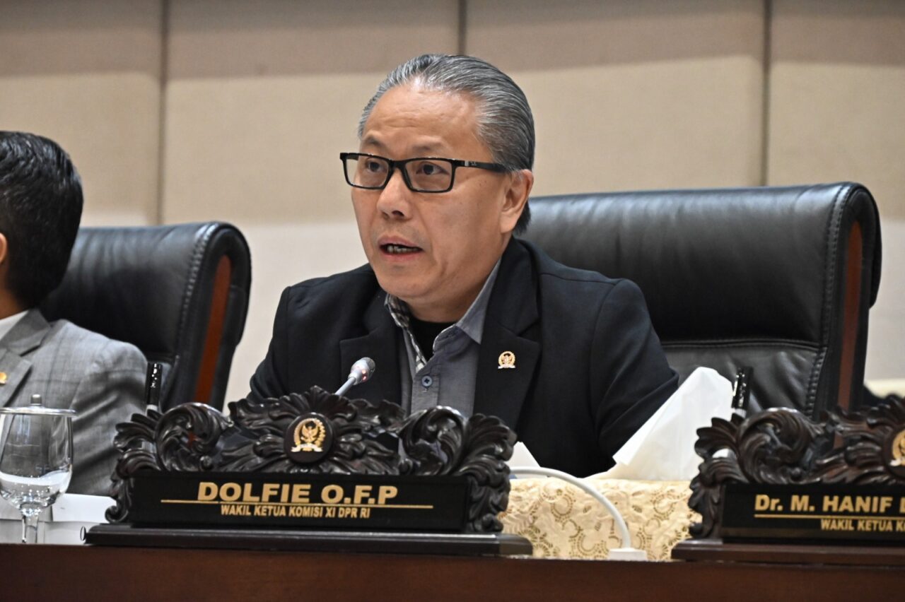 Wakil Ketua Komisi XI DPR RI Dolfie O.F.P. Dok Istimewa