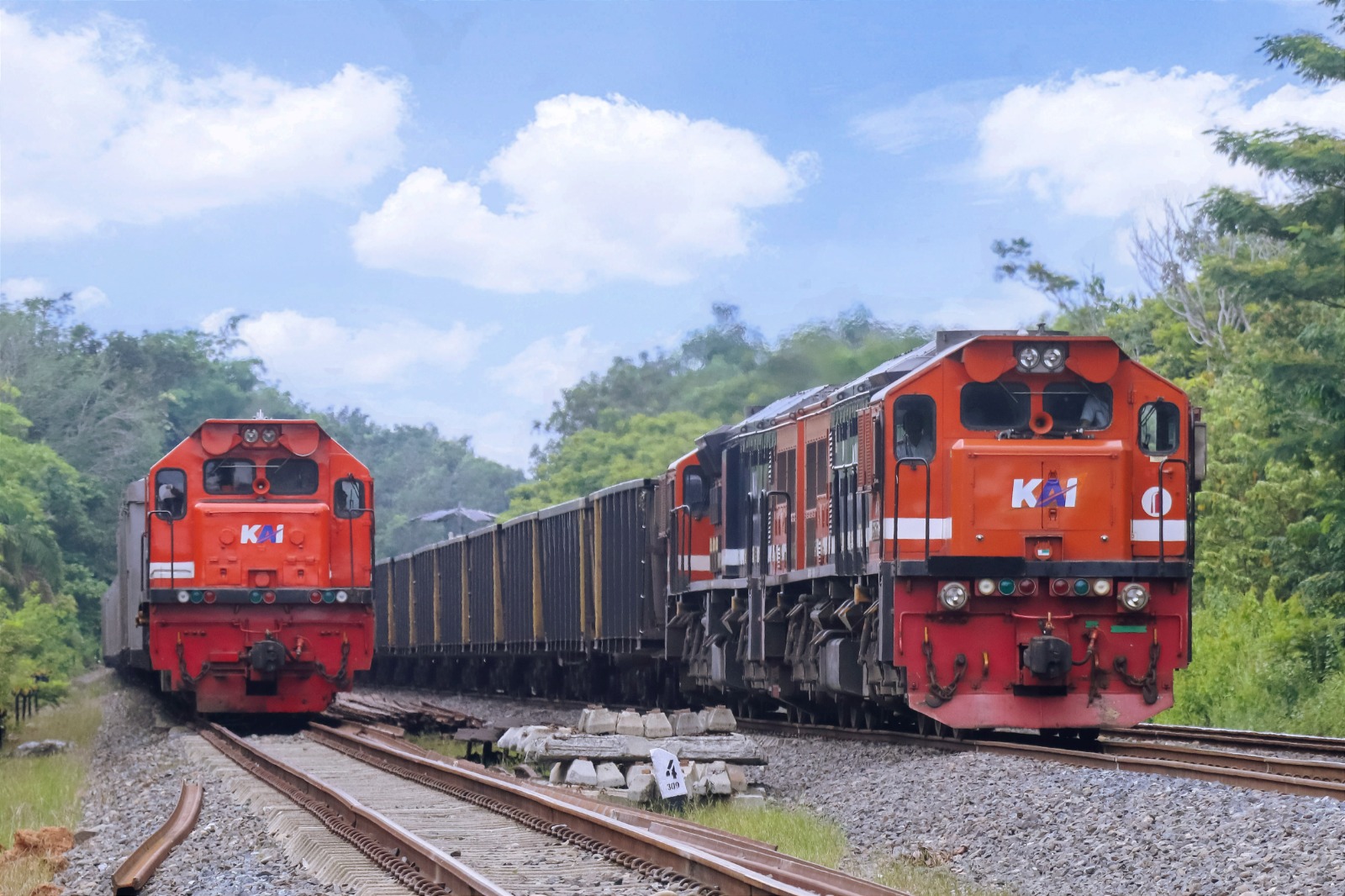 KAI angkut baru bara (SinPo.id/KAI)