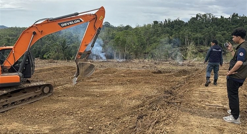 Ilustrasi Gakkum Kehutanan menindak perambahan ilegal hutan produksi. (SinPo.id/dok. Kemenhut)