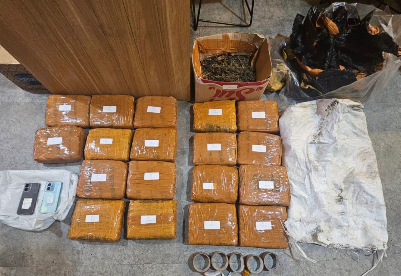 Barang bukti ganja yang disita di Jakarta Barat (SinPo.id/Dok.Polri)