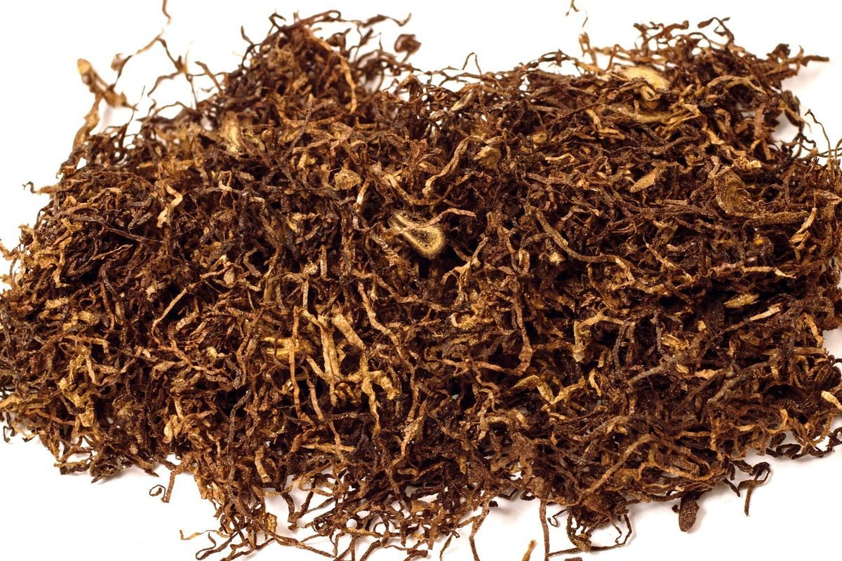 Ilustrasi. (SinPo.id/Pixabay)