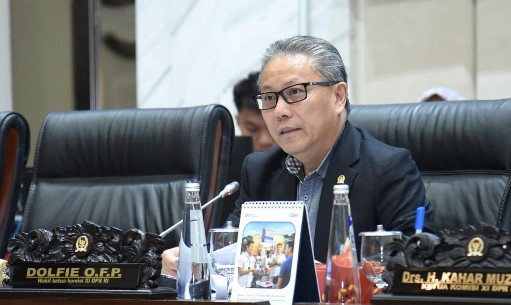Wakil Ketua Komisi XI DPR RI Dolfie O.F.P. Istimewa