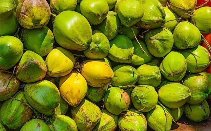 Ilustrasi buah kelapa utuh. (SinPo.id/Pixabay)