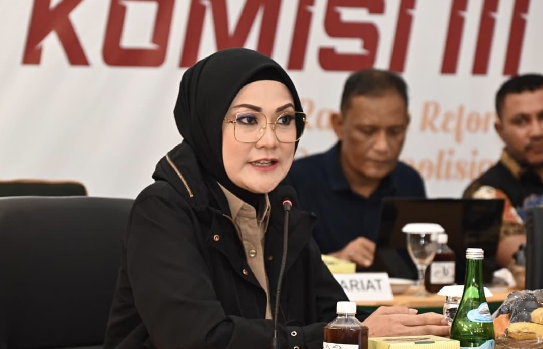 Anggota Komisi III DPR RI Widya Pratiwi. Istimewa