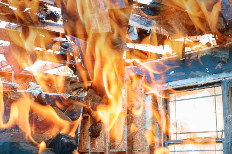 Ilustrasi kebakaran. (SinPo.id/Envato/photovs)