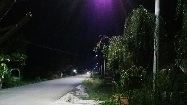 Ilustrasi listrik di pedesaan (SinPo.id/ Desa Pancur Jaya)