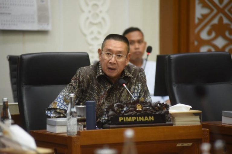 Wakil Ketua Banggar DPR RI Wihadi Wiyanto (SinPo.id/ Dok. Gerindra)