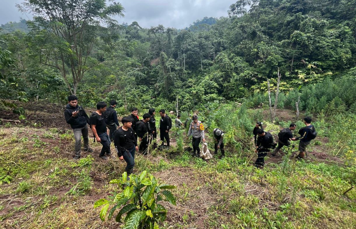 Ladang ganja seluas 20 hektar di Empat Lawang Sumsel (SinPo.id/Dok.Polri)