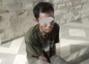 Pelaku pencurian kelapa sawit di Pelalawan (SinPo.id/ Humas Polri)