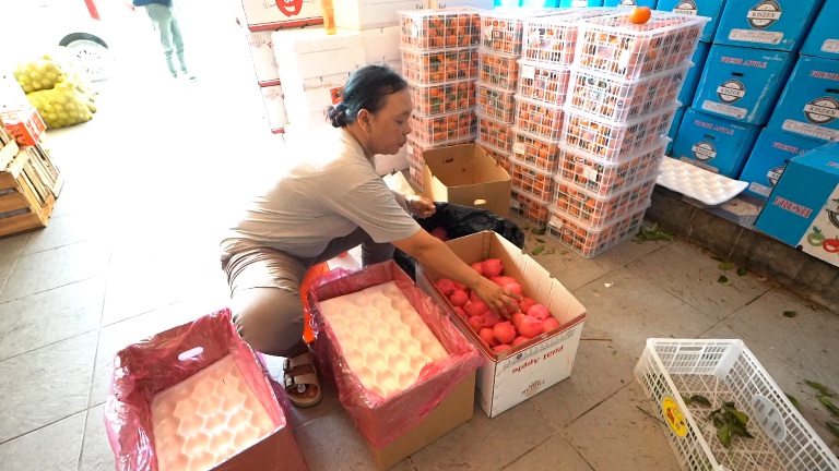Usaha Buah Lokal di Kota Solo untuk Penuhi Kebutuhan Dapur MBG (SinPo.id/Bakom RI)