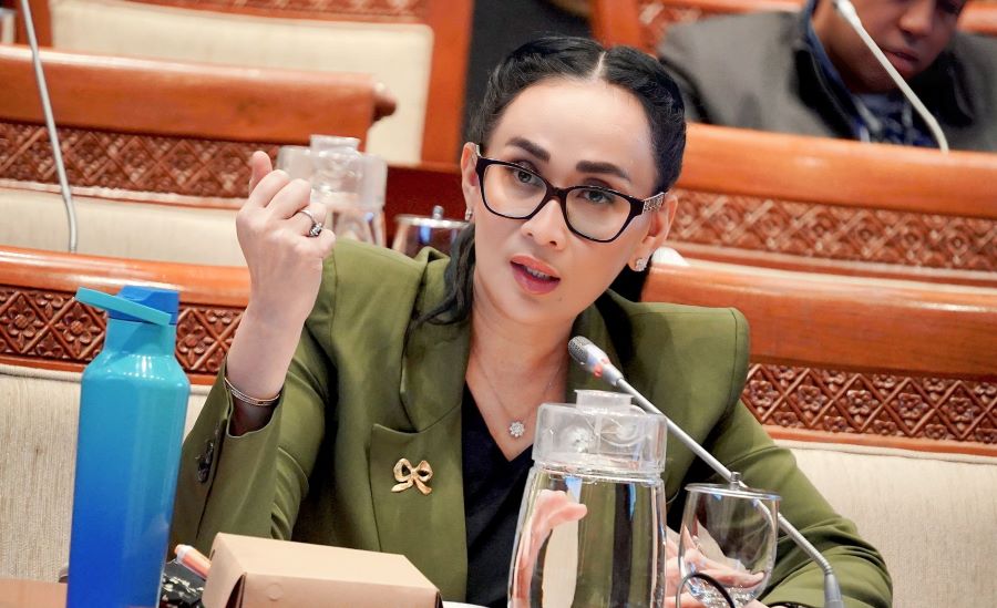 Anggota DPR RI dari Fraksi Partai NasDem Amelia Anggraini. Istimewa
