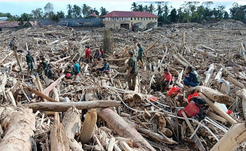 Tumpukan kayu pascabanjir di Sumatra (SinPo.id/ Dok. Kemenhut)
