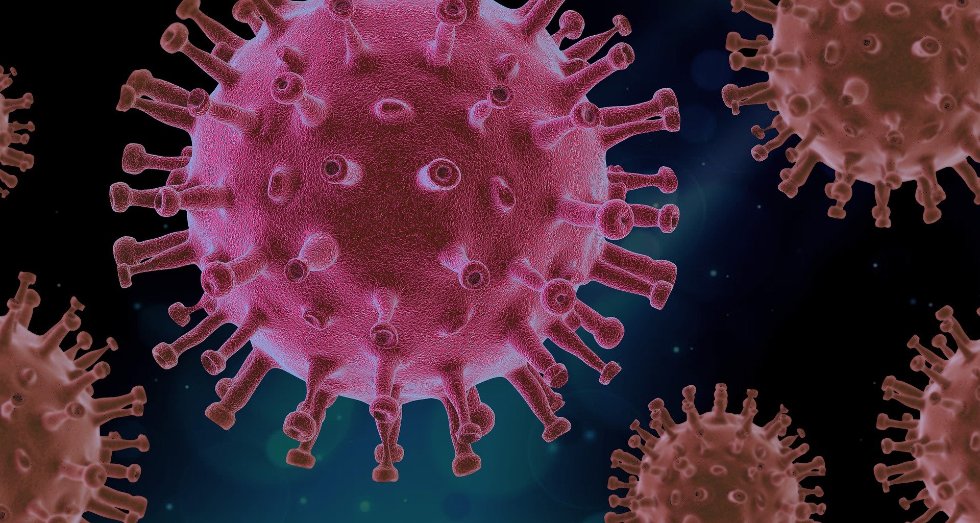 Ilustrasi Virus. (SinPo.id/Pixabay)