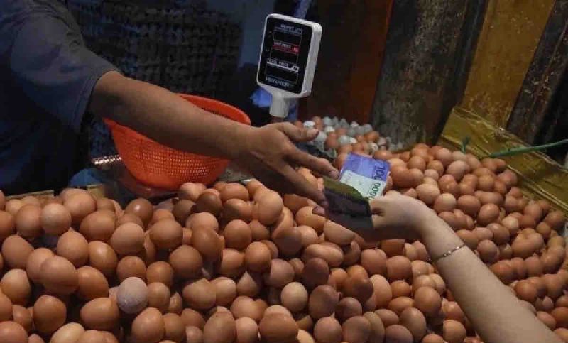 Ilustrasi pedagang telur ayam (SinPo.id/Ashar)