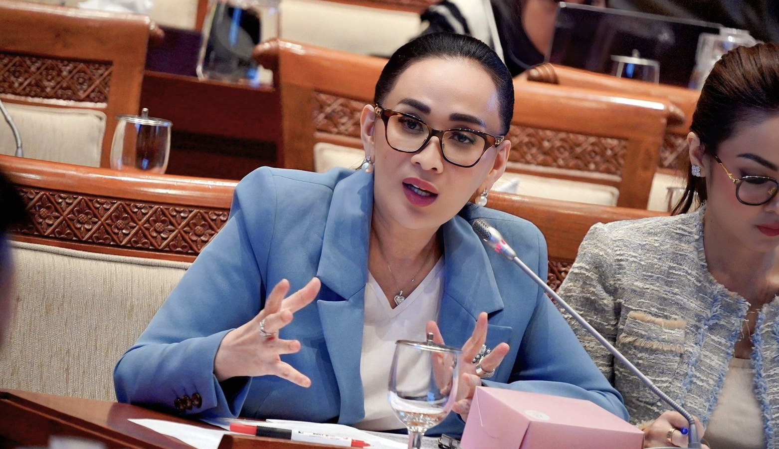 Anggota Komisi I DPR RI Amelia Anggraini. Istimewa