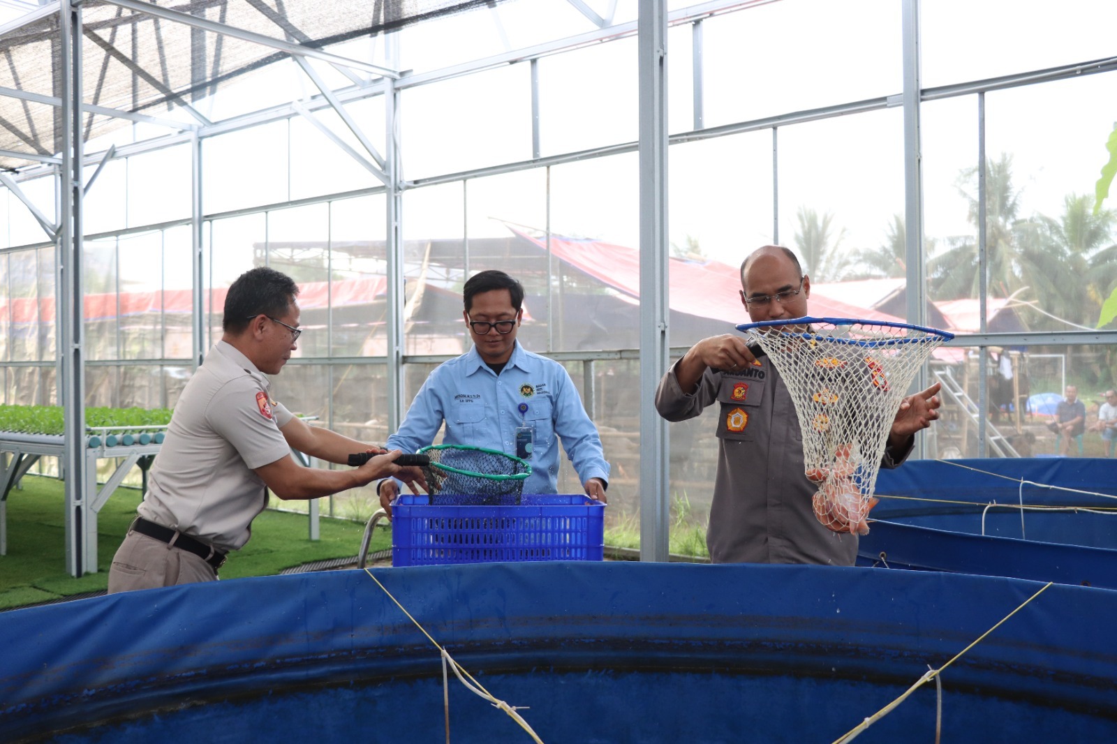 Panen ikan nila di Greenhouse SPPG Palmerah (SinPo.id/Dok.PMJ)