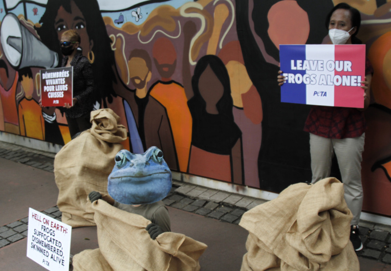 Aktivis PETA gelar aksi teaterikal di depan Kedutaan Besar Prancis untuk mengakhiri impor paha Kodok (Ashar/SinPo.id)
