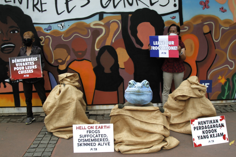 Aktivis PETA gelar aksi teaterikal di depan Kedutaan Besar Prancis untuk mengakhiri impor paha Kodok (Ashar/SinPo.id)