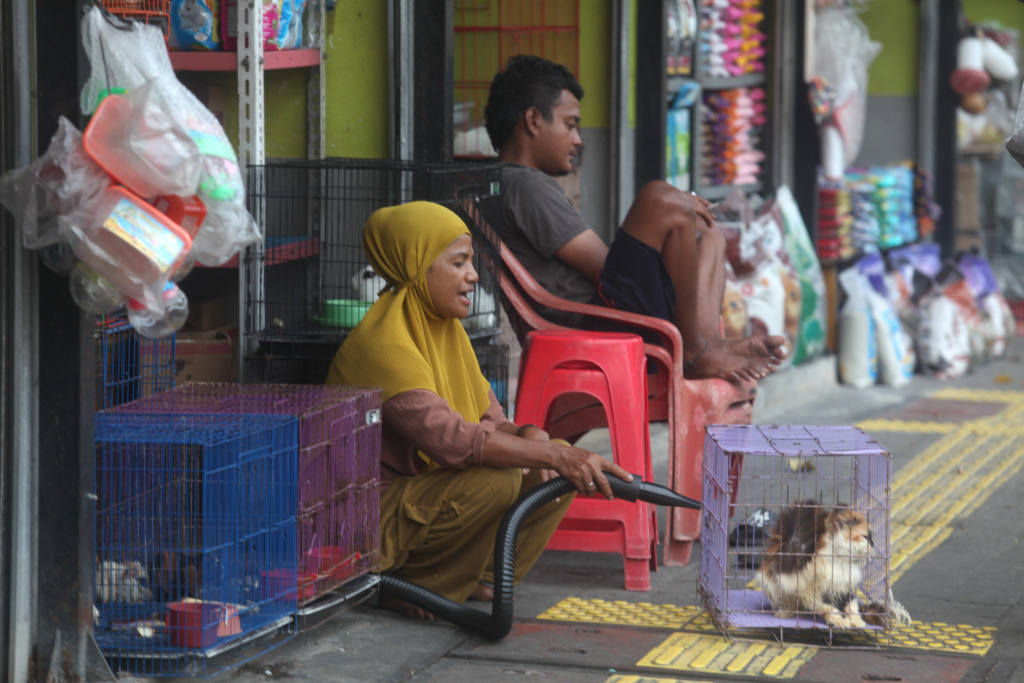 Pemkot DKI Jakarta Selatan berencana akan merelokasi para pedagang Pasar Burung Barito (Ashar/SinPo.id)