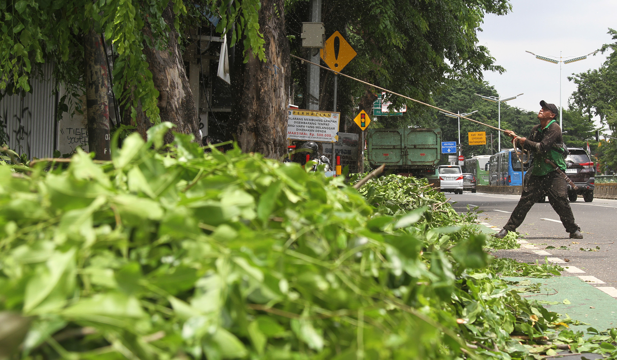 Pemangkasan pohon di jalan Otista Raya. (Agus Priatna/SinPo.id)