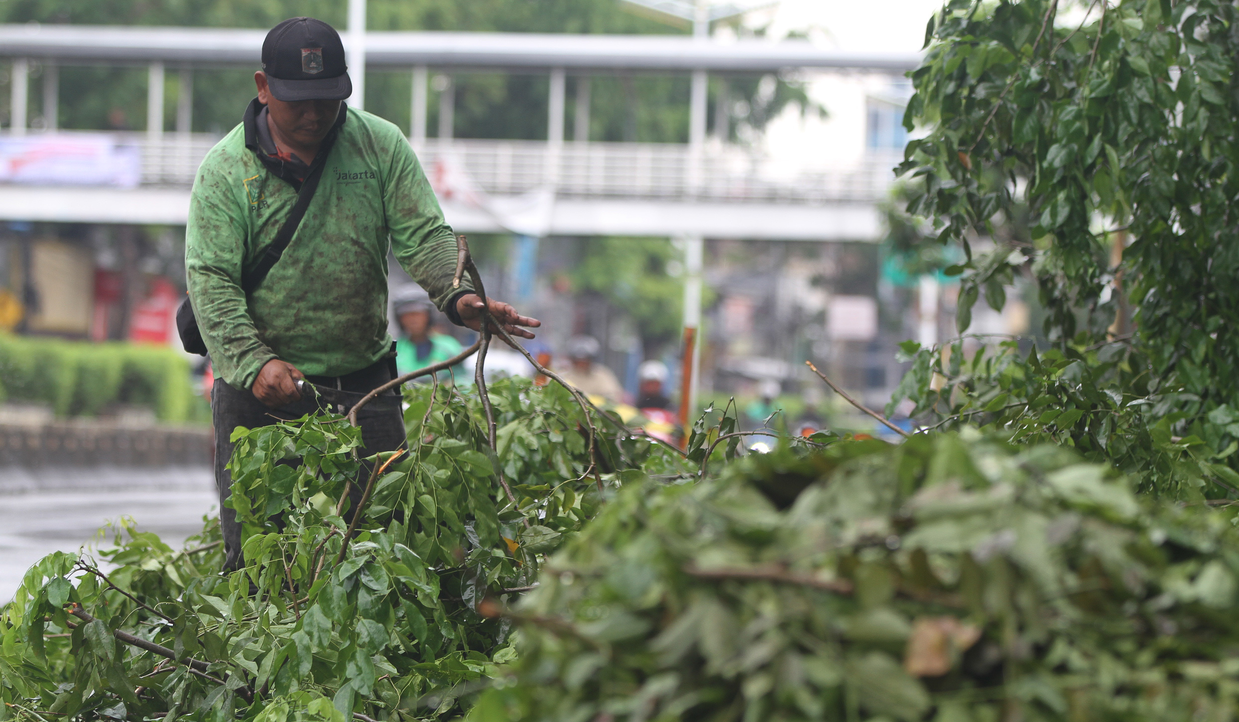 Pemangkasan pohon di jalan Otista Raya. (Agus Priatna/SinPo.id)