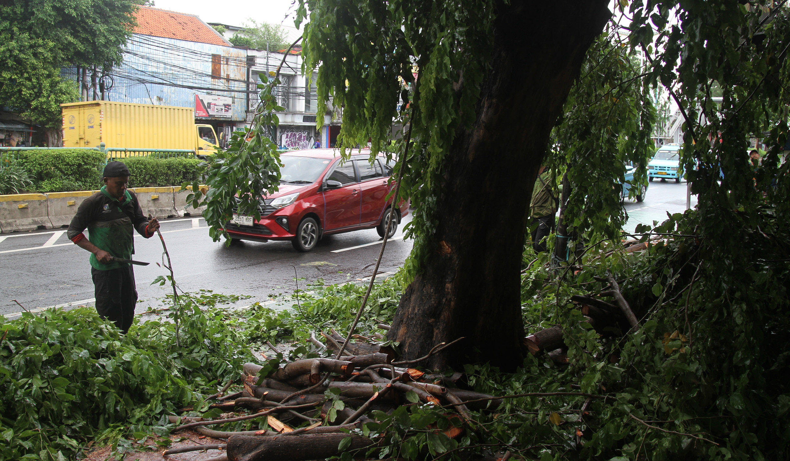 Pemangkasan pohon di jalan Otista Raya. (Agus Priatna/SinPo.id)
