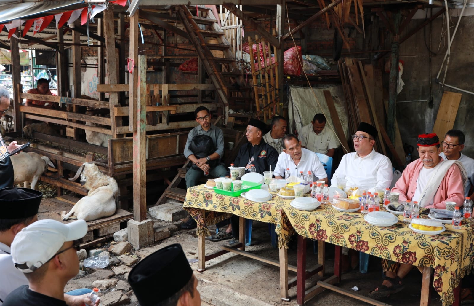 Bacagub Jakarta Ridwan Kamil melakukan kunjungan ke pasar ternak kambing dan sapi Tanah Abang dan akan melakukan revitalisasi nantinya jika terpilih sebagai Gubernur Jakarta (Ashar/SinPo.id)