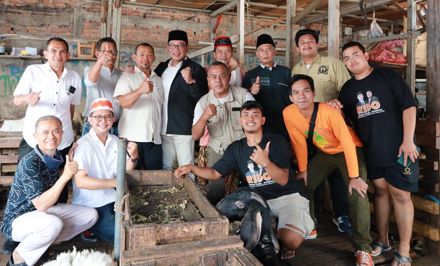 Bacagub Jakarta Ridwan Kamil melakukan kunjungan ke pasar ternak kambing dan sapi Tanah Abang dan akan melakukan revitalisasi nantinya jika terpilih sebagai Gubernur Jakarta (Ashar/SinPo.id)