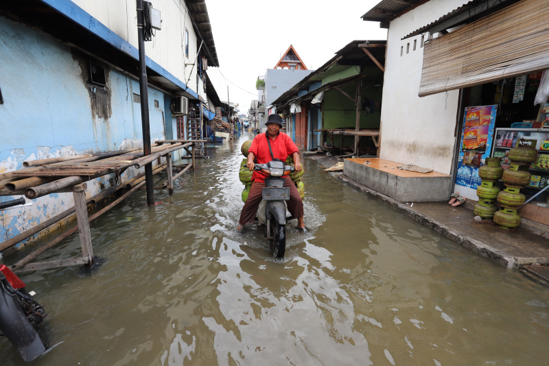 Sejumlah anak-anak sedang bermain banjir rob setinggi 30 Cm di Muara Angke (Ashar/SinPo.id)