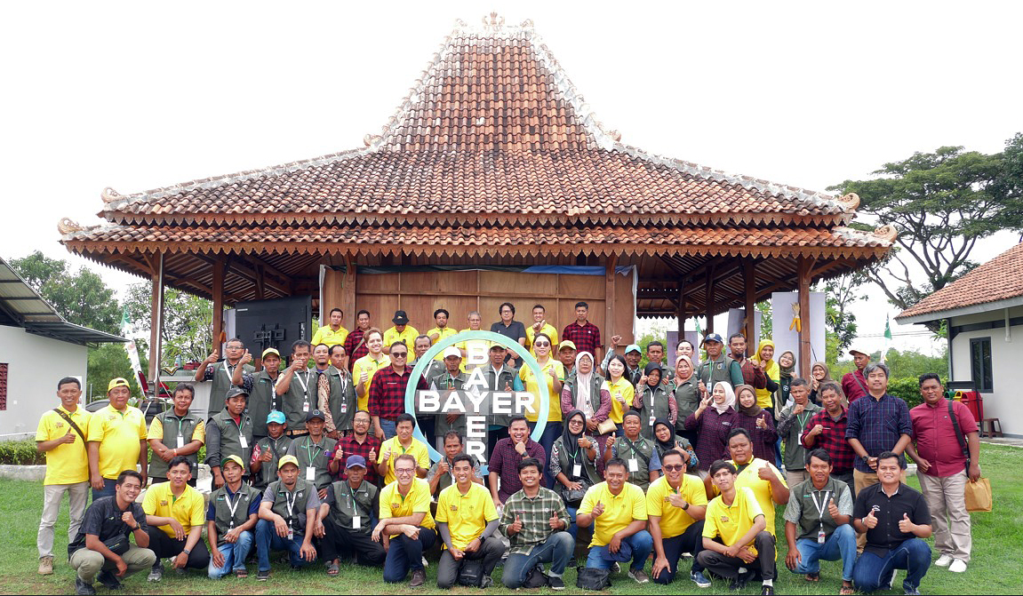 Panen jagung varietas hibrida Dekalb DK19C ”Cantik” dan DK79C “Kuat di Grobogan dan Kendal, Jawa Tengah.