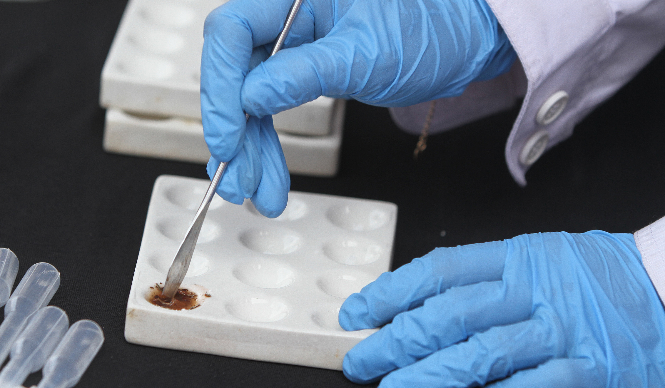 Pengungkapan jaringan narkotika. (Agus Priatna/SinPo.id)