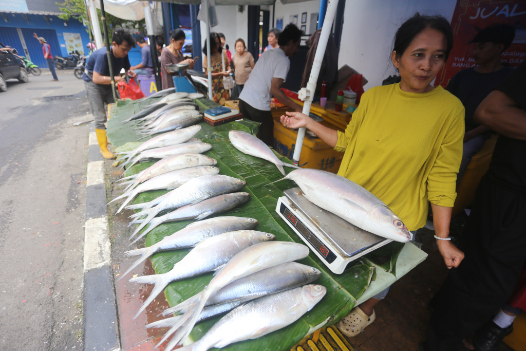 Menjelang hari perayaan Imlek 2577 warga berburu ikan bandeng jumbo di Rawa Belong (Ashar/SinPo.id)