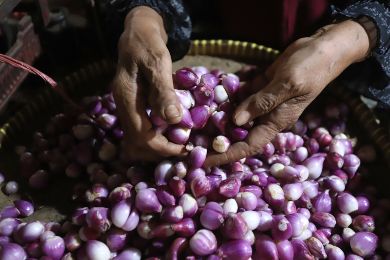 Harga bawang merah turun di Pasar Kebayoran Lama (Ashar/SinPo.id)