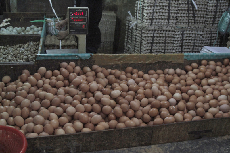 Harga telur ayam semakin tinggi tembus Per-kilogram Rp 30.000 (Ashar/SinPo.id)
