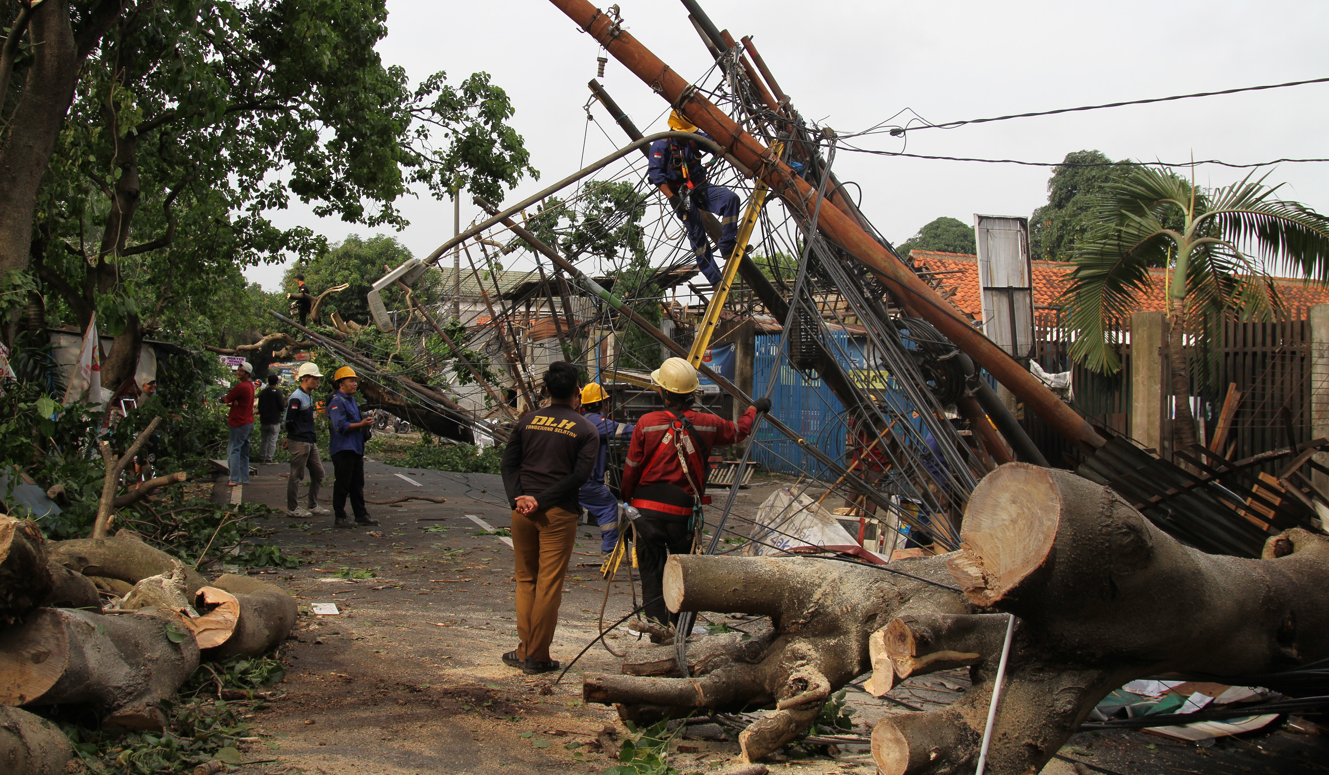 Pohon tumbang di Jombang Raya. (Agus Priatna/SinPo.id)