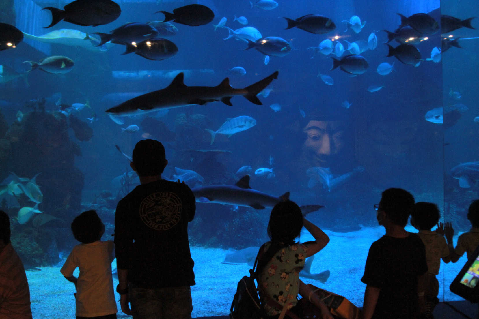 Jakarta Aquarium dan YKAN bekerja sama melindungi konservasi laut di Indonesia (Ashar/SinPo.id)