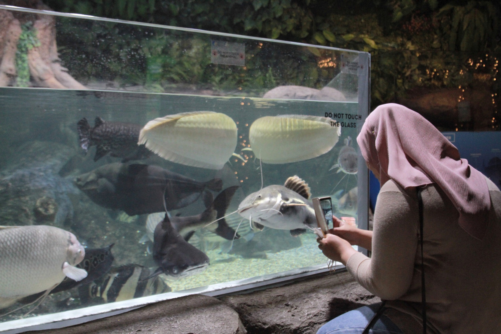 Jakarta Aquarium dan YKAN bekerja sama melindungi konservasi laut di Indonesia (Ashar/SinPo.id)