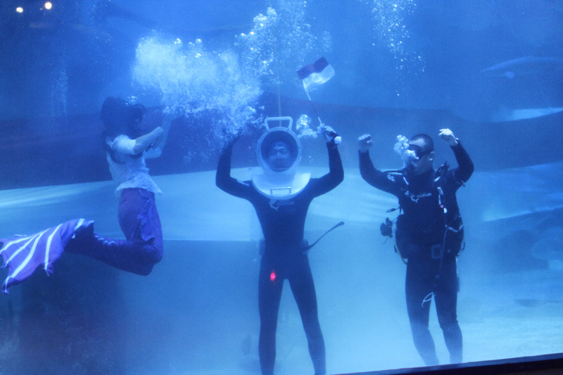 Jakarta Aquarium & Safari gelar pengibaran bendera Merah Putih terpanjang 25 meter dan lomba tarik tambang di bawah laut (Ashar/SinPo.id)