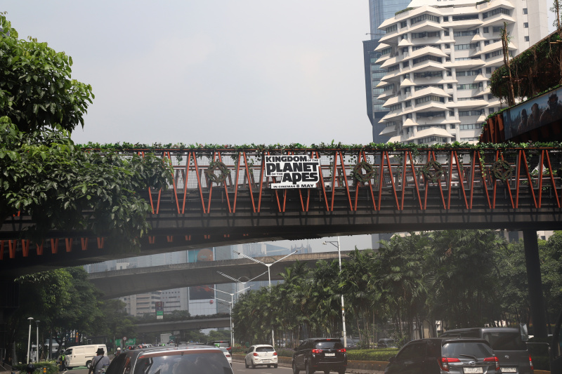 JPO Pinisi didesain menjadi hutan rimba untuk kebutuhan media Promisi film Kingdom of The Planet of The Apes (Ashar/SinPo.id)