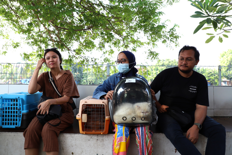 Petugas ketahanan pangan kelautan dan pertanian Kecamatan Tebet di Kantor Sekretariat RW 02 Kebon Baru menggelar vaksinasi rabies gratis (Ashar/SinPo.id)