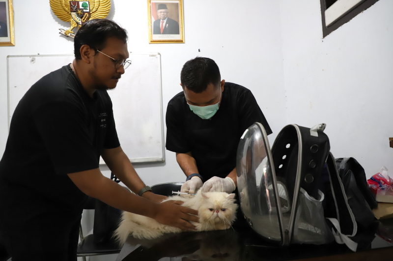 Petugas ketahanan pangan kelautan dan pertanian Kecamatan Tebet di Kantor Sekretariat RW 02 Kebon Baru menggelar vaksinasi rabies gratis (Ashar/SinPo.id)