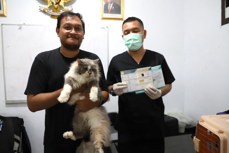 Petugas ketahanan pangan kelautan dan pertanian Kecamatan Tebet di Kantor Sekretariat RW 02 Kebon Baru menggelar vaksinasi rabies gratis (Ashar/SinPo.id)